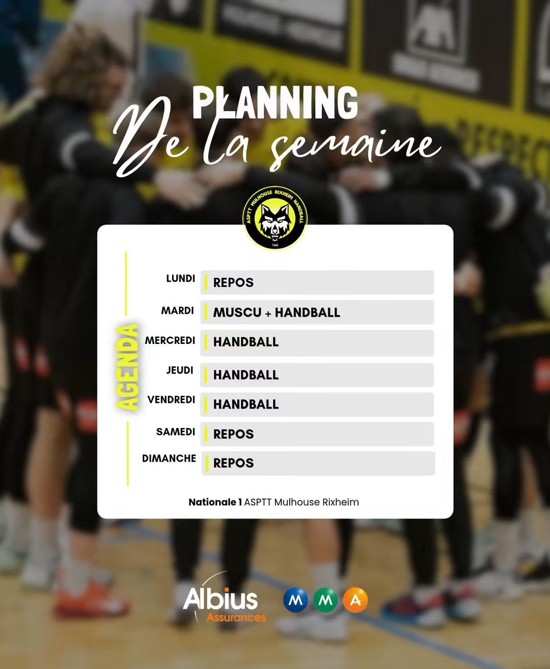 Jour de match présentation Les Loups ASPTT MR HANDBALL VS MARTIGUES HB